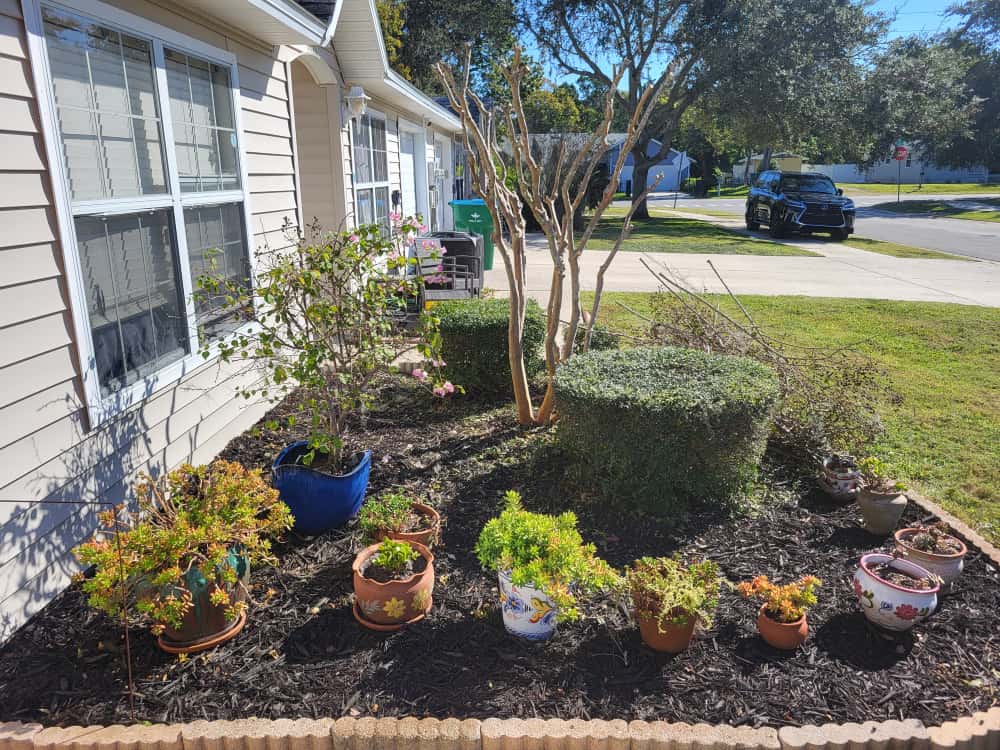Landscape Maintenance in Ormond Beach, FL