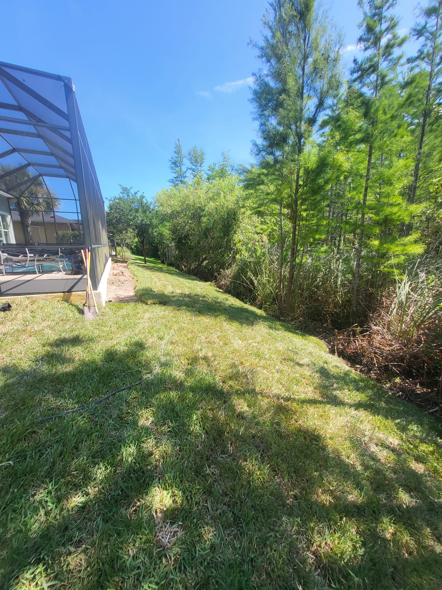 Sod Installation in Ormond Beach, FL